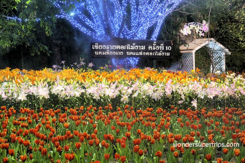 สวนตุง เทศกาลเชียงรายดอกไม้งาม ครั้งที่ 10