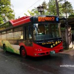 Nikko World Heritage Bus