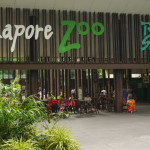 Singapore Zoo – ที่เที่ยวสิงคโปร์