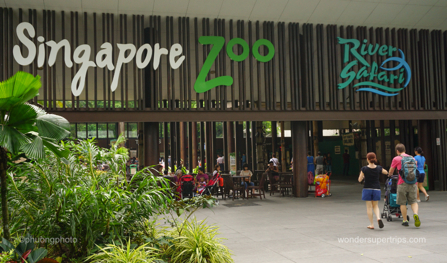 Singapore Zoo - ที่เที่ยวสิงคโปร์