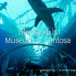 singapore museum and sentosa