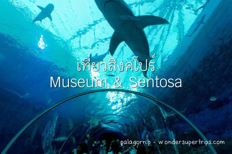 เที่ยวสิงคโปร์ Day3 ~ Museum & Sentosa